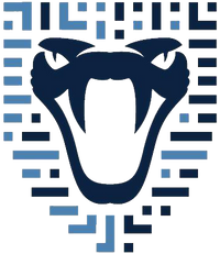 Vipersoft Solutions logo.